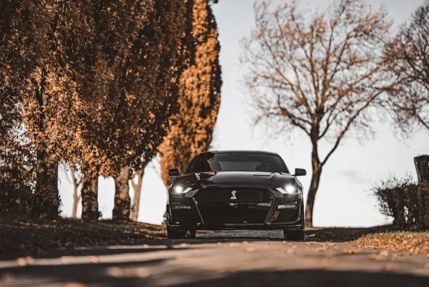 HippoZino Kasino Apl Android/iOS